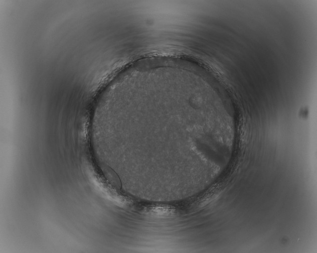 X0000111910546200908171304