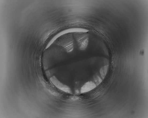 X0000111910547200908171304