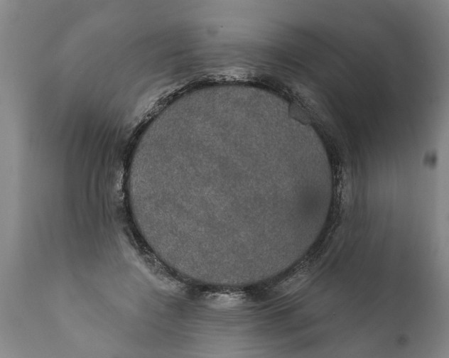 X0000111910548200908171304