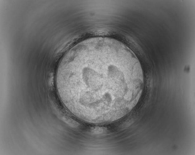 X0000111910549200908171304