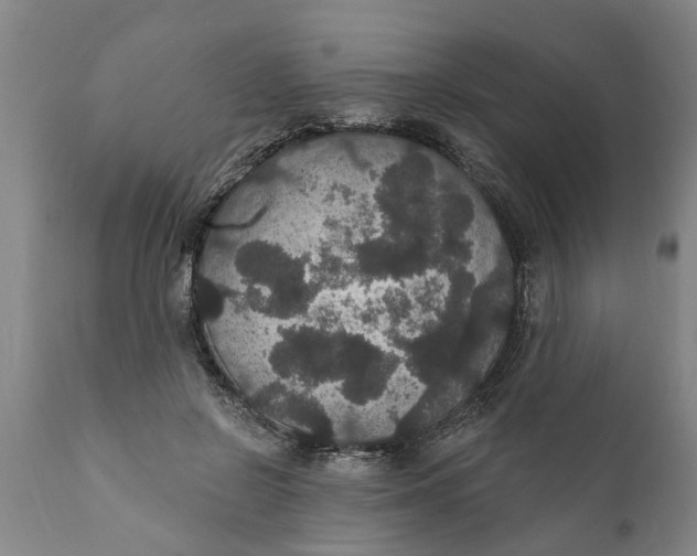 X0000111910550200908171304