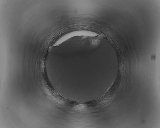 X0000111910551200908171304