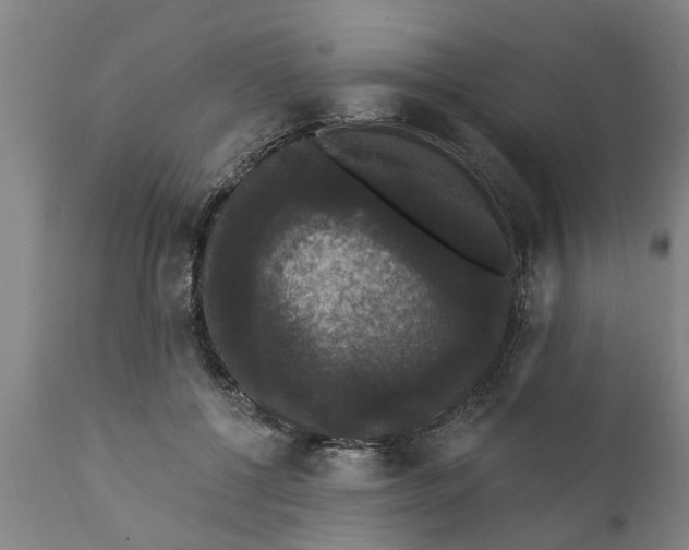X0000111910552200908171304