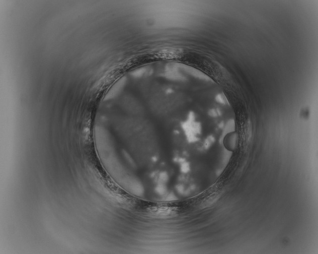 X0000111910553200908171304