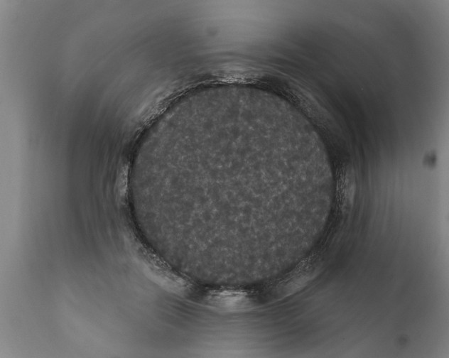 X0000111910554200908171304