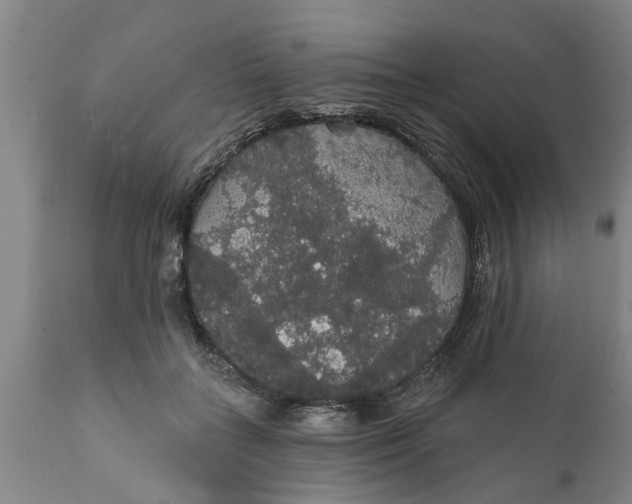 X0000111910555200908171304