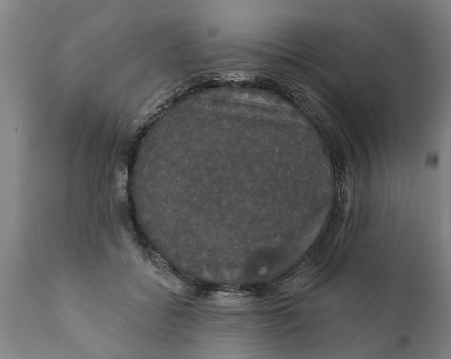 X0000111910556200908171304