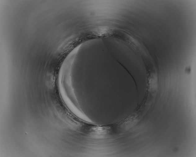 X0000111910558200908171304
