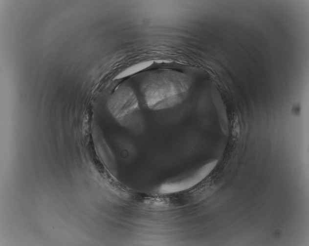 X0000111910559200908171304