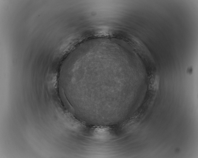 X0000111910560200908171304