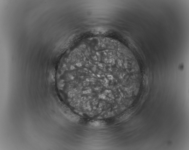 X0000111910561200908171304