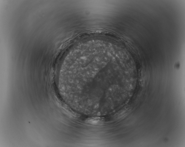 X0000111910563200908171304