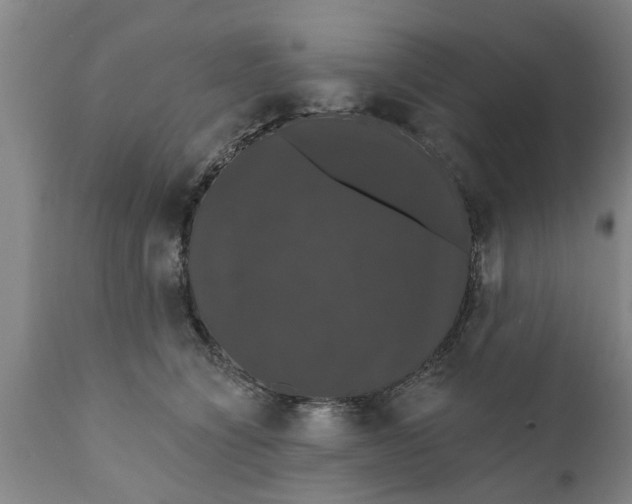 X0000111910564200908171304