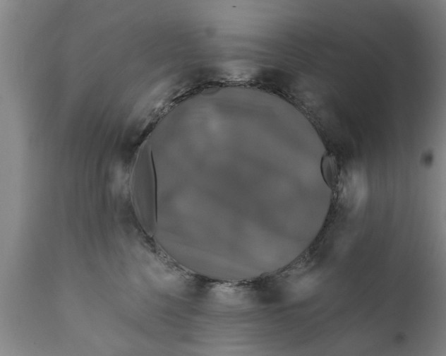 X0000111910568200908171304