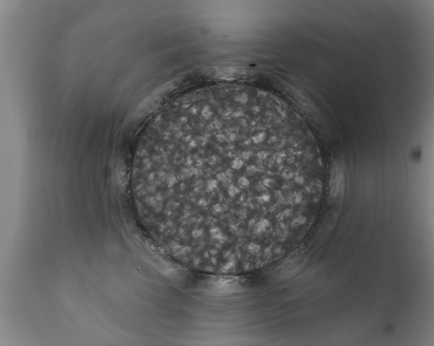 X0000111910569200908171304