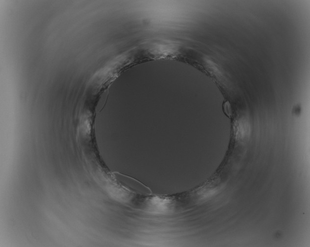 X0000111910570200908171304