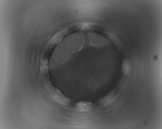 X0000111910571200908171304