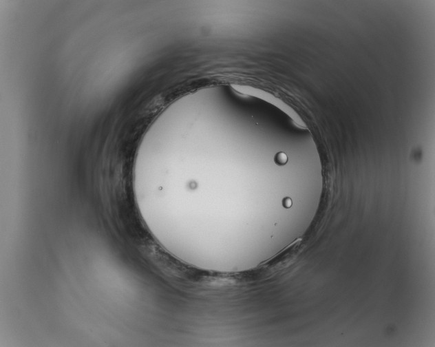 X0000111910572200908171304