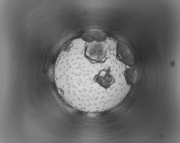 X0000111910573200908171304
