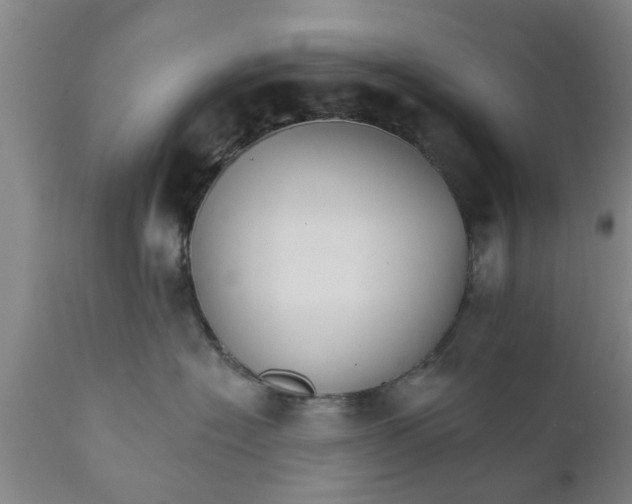 X0000111910574200908171304