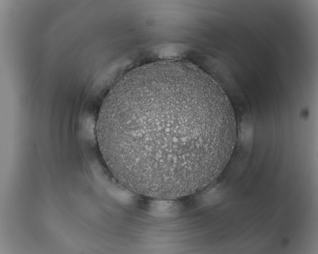 X0000111910575200908171304