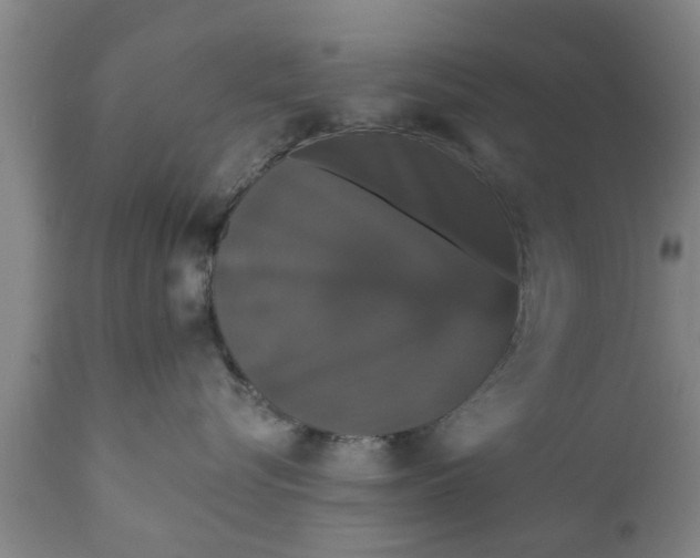 X0000111910576200908171304