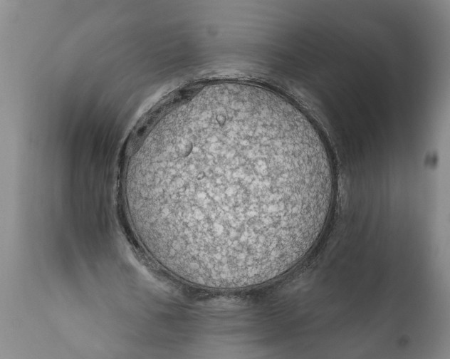 X0000111910578200908171304