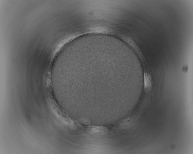 X0000111910579200908171304