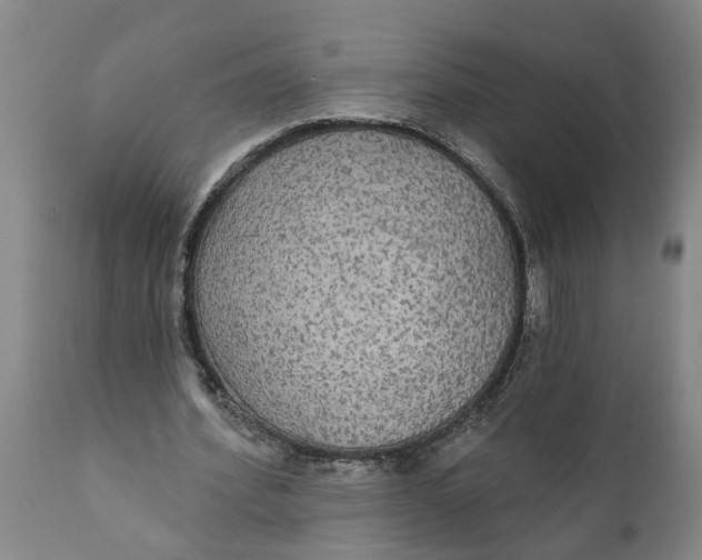 X0000111910580200908171304