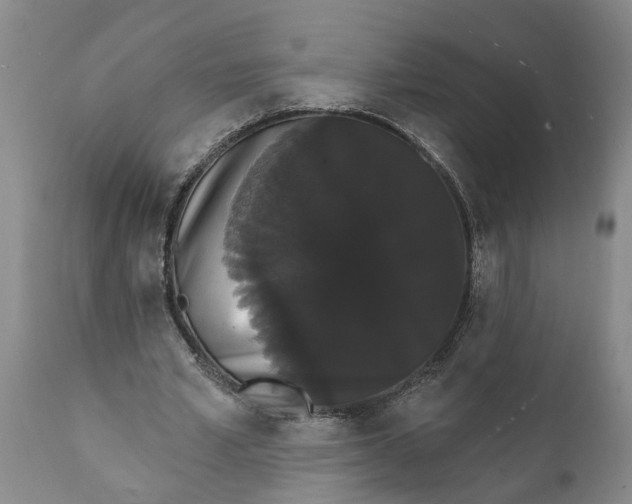 X0000111910581200908171304