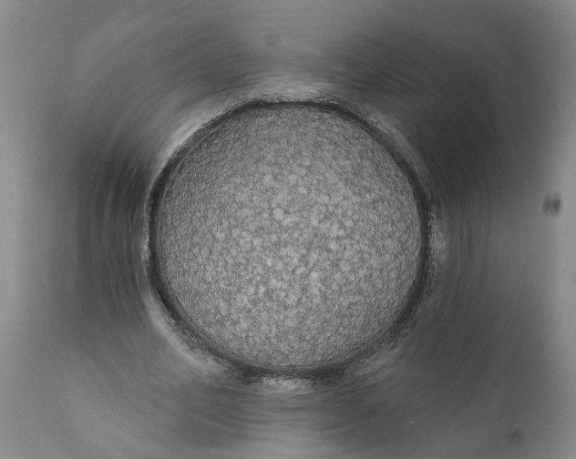 X0000111910582200908171304