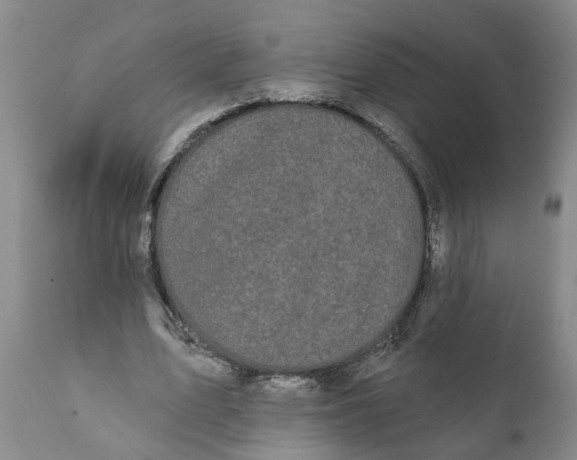 X0000111910583200908171304