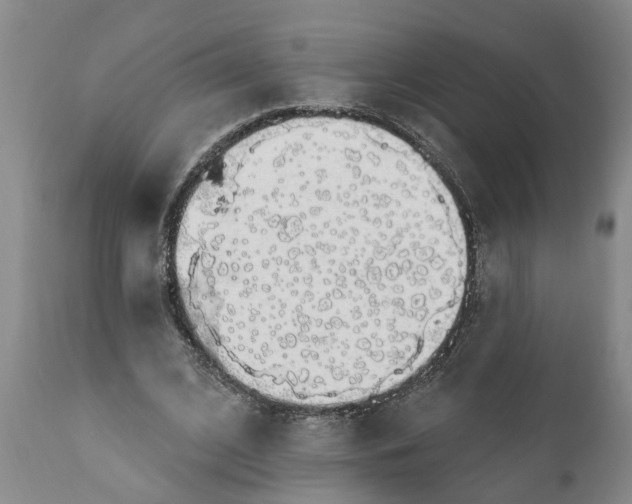 X0000111910584200908171304