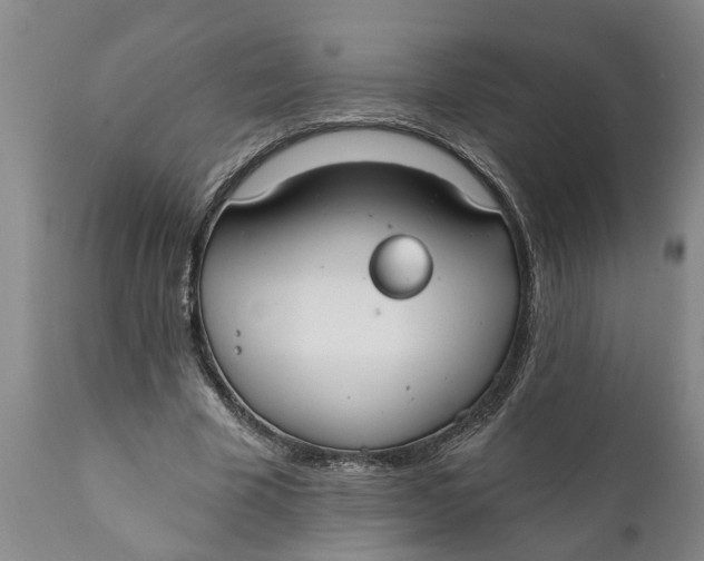 X0000111910585200908171304