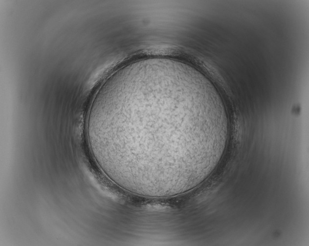 X0000111910586200908171304