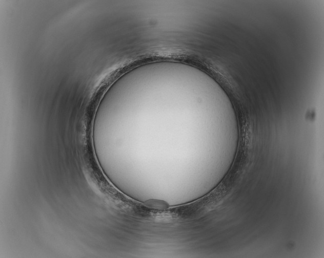 X0000111910587200908171304