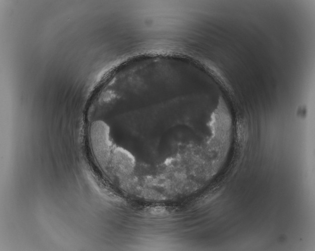 X0000111910588200908171304