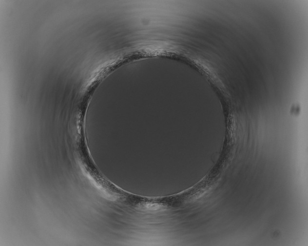 X0000111910590200908171304