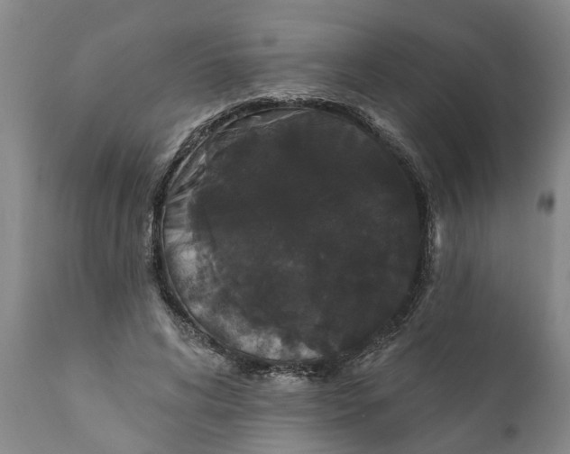 X0000111910592200908171304