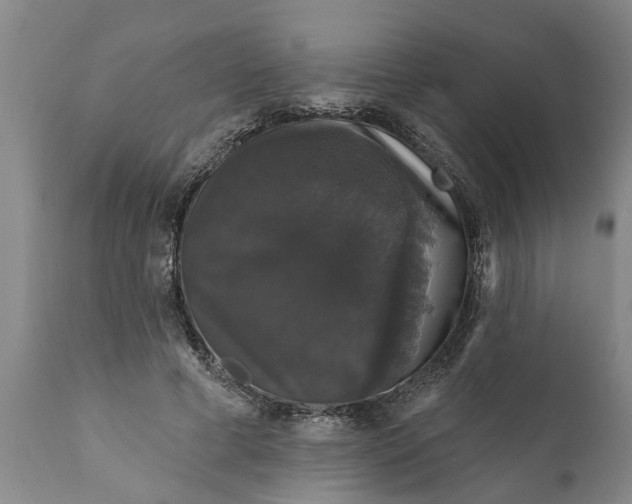 X0000111910593200908171303