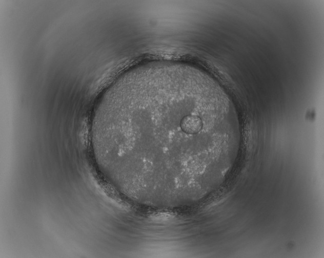 X0000111910594200908171303