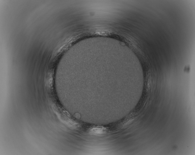 X0000111910595200908171303