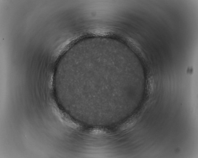 X0000111910596200908171303