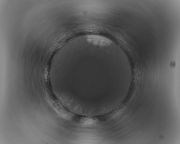 X0000111910597200908171303