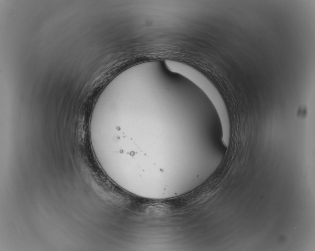 X0000111910599200908171303