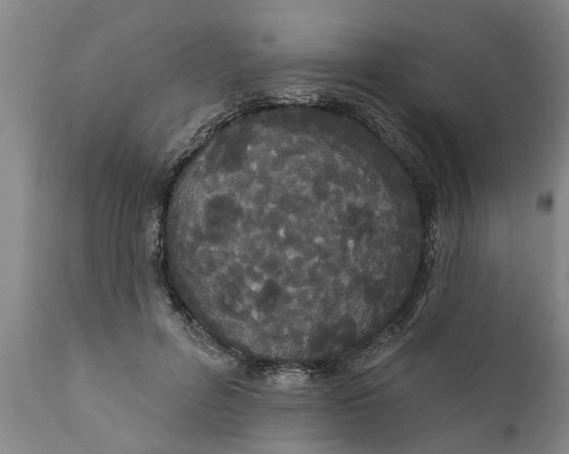 X0000111910600200908171303