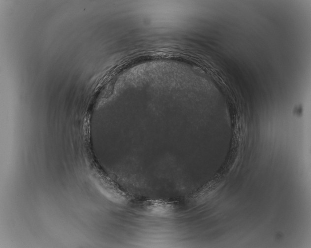 X0000111910601200908171303