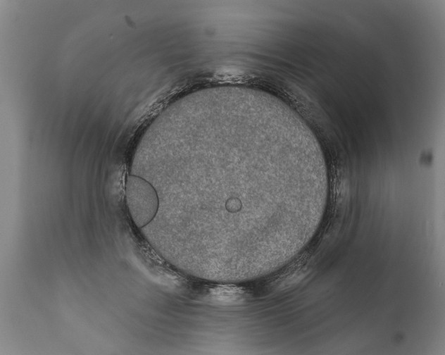 X0000111910603200908171303