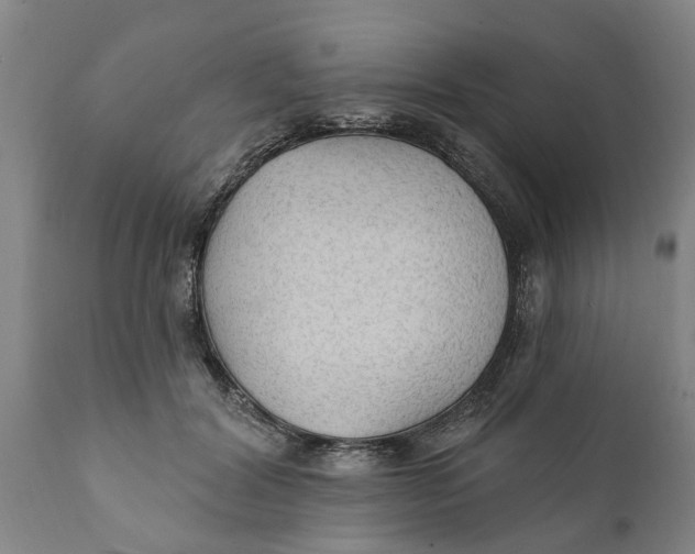 X0000111910604200908171303