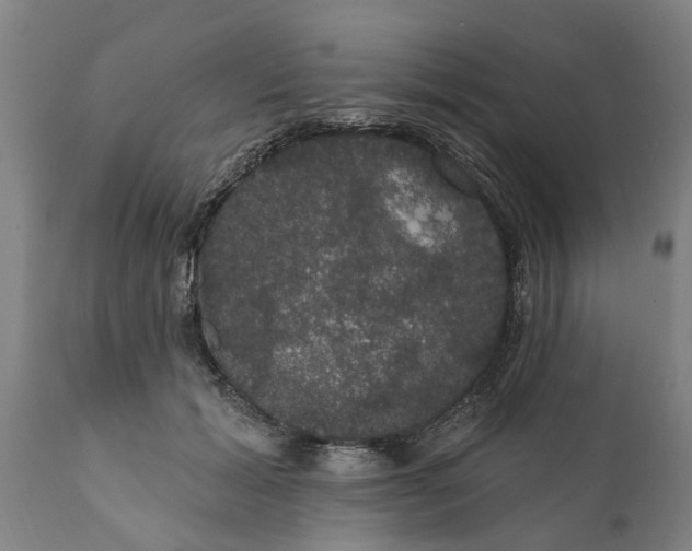 X0000111910605200908171303